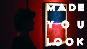 Made You Look: A True Story About Fake Art