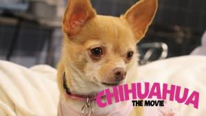 Chihuahua: The Movie