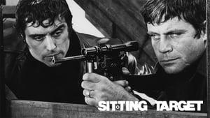 Sitting Target