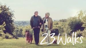 23 Walks