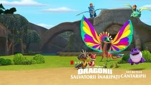 Dragons: Rescue Riders: Secrets of the Songwing