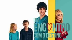 Finding Love in Mountain View