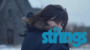 The Strings