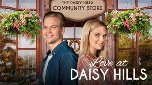 Follow Me to Daisy Hills