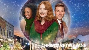 Christmas Tree Lane