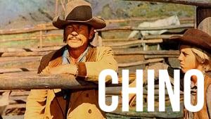 Chino
