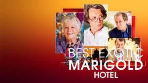 The Best Exotic Marigold Hotel