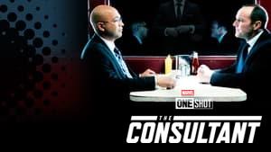 Marvel One-Shot: The Consultant