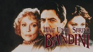 Wait Until Spring, Bandini