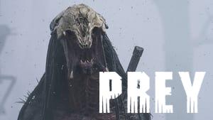 Prey