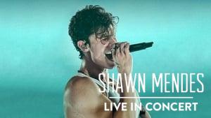 Shawn Mendes: Live in Concert