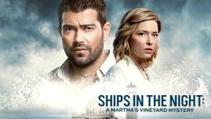 Ships in the Night: A Martha's Vineyard Mystery