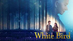 White Bird