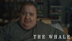 The Whale