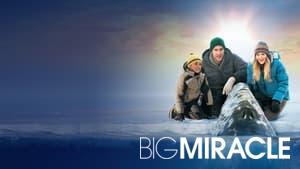Big Miracle