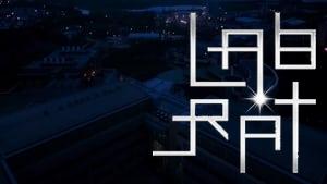 Lab Rat
