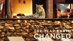 The Year Earth Changed