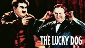 The Lucky Dog