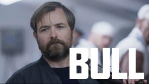Bull