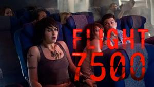 Flight 7500