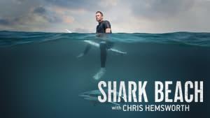 Shark Beach With Chris Hemsworth