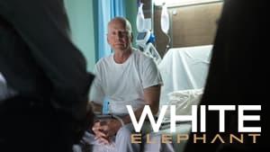 White Elephant