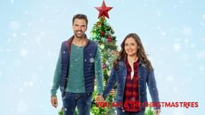 You, Me and the Christmas Trees