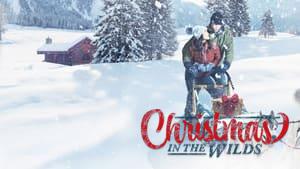 Christmas in the Wilds