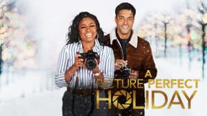 A Picture Perfect Holiday
