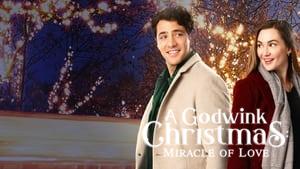 A Godwink Christmas: Miracle of Love