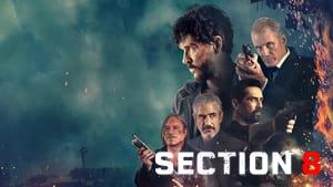Section 8