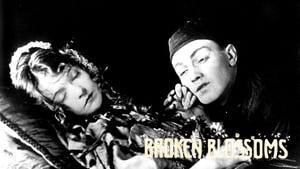 Broken Blossoms
