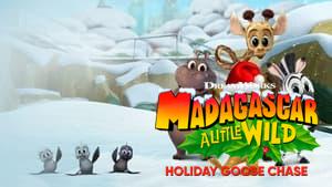 Madagascar: A Little Wild - Holiday Goose Chase
