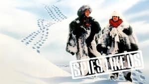 Spies Like Us