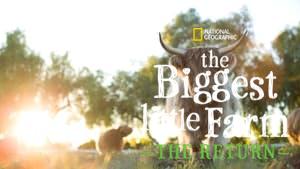 The Biggest Little Farm: The Return