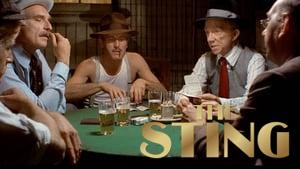 The Sting