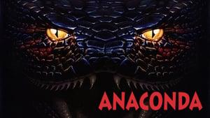 Anaconda