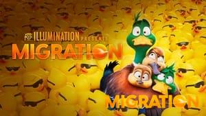 Migration