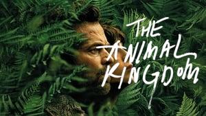 The Animal Kingdom