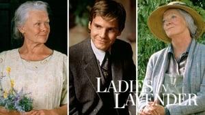 Ladies in Lavender