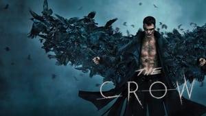 The Crow