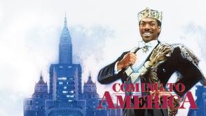 Coming to America