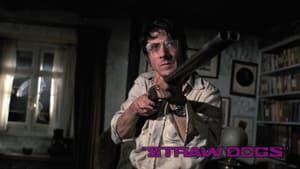 Straw Dogs
