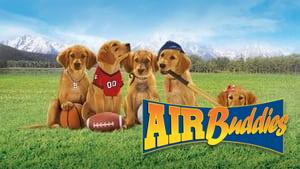 Air Buddies