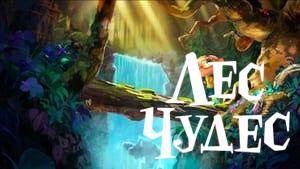 Into the Wonderwoods