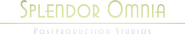 Estudios Splendor Omnia Logo