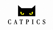 Catpics AG Logo