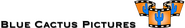 Blue Cactus Pictures Logo