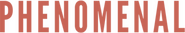 Phenomenal Media Logo