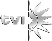 TVI Vision Logo